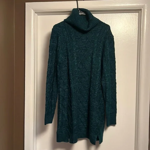 Francescas Dark green sweater dress. New with tags. Size Large